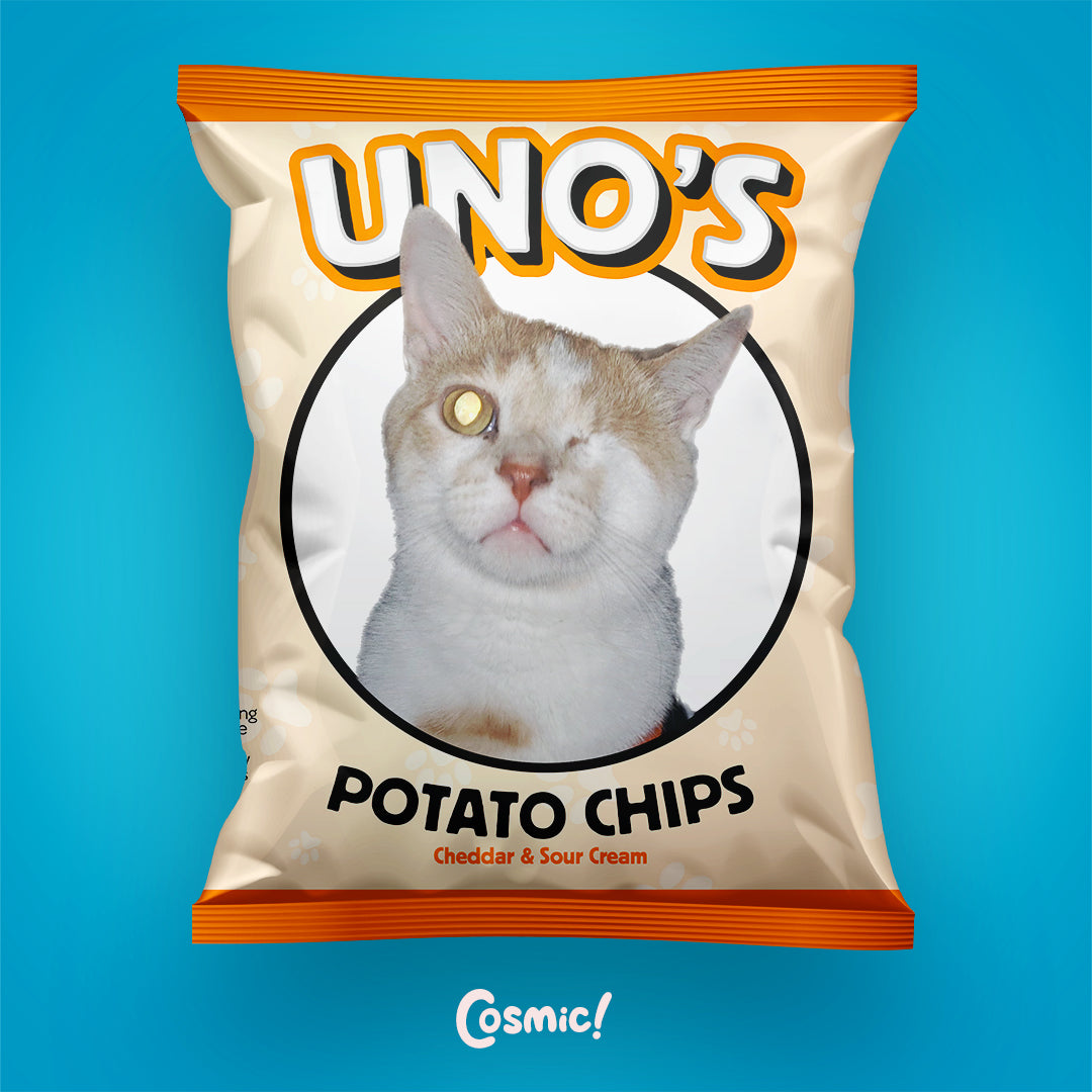 Custom Chip Bags